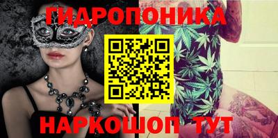 мдпв Кандалакша