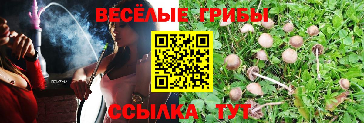 Псилоцибиновые грибы GOLDEN TEACHER Котельники